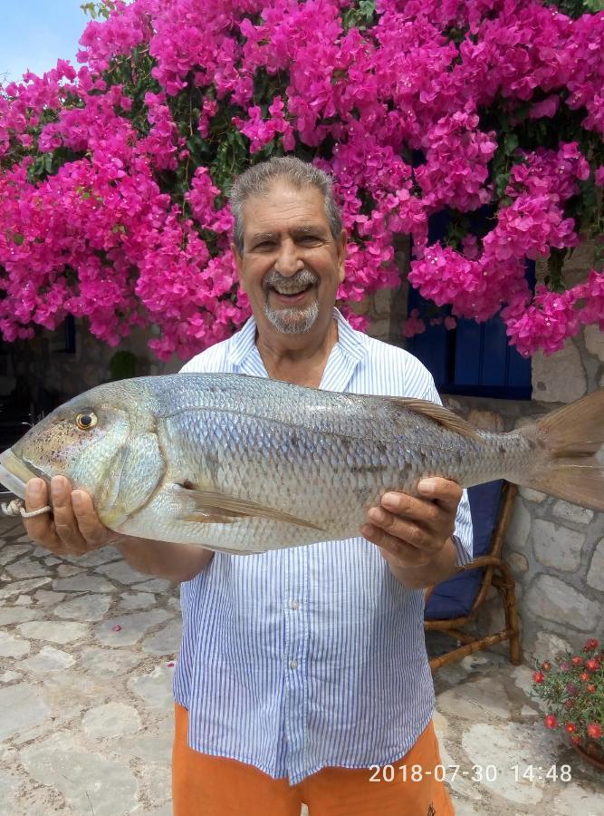 Federico Villa Khalikerí Exteriér fotografie